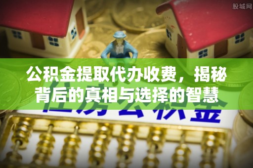 竹溪公积金提取代办收费，揭秘背后的真相与选择的智慧