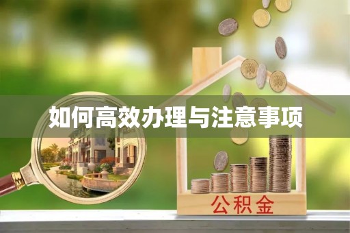 竹溪如何高效办理与注意事项