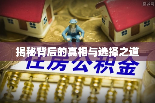 竹溪揭秘背后的真相与选择之道