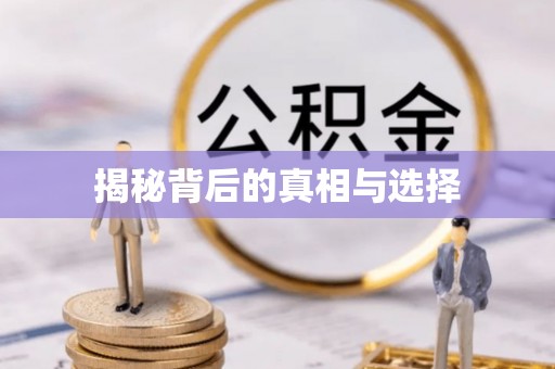竹溪揭秘背后的真相与选择