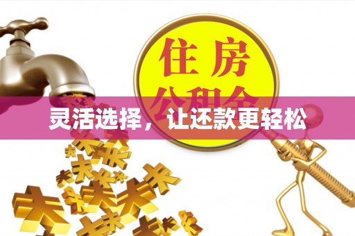 竹溪灵活选择，让还款更轻松