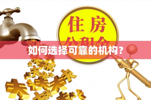 竹溪如何选择可靠的机构？