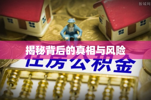 竹溪揭秘背后的真相与风险
