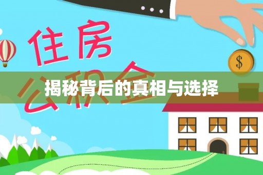 竹溪揭秘背后的真相与选择