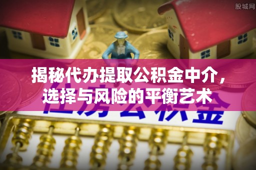 竹溪揭秘代办提取公积金中介，选择与风险的平衡艺术