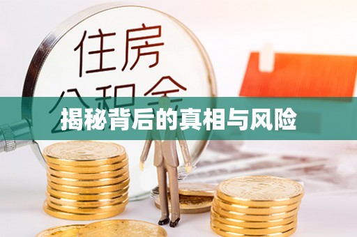 竹溪揭秘背后的真相与风险
