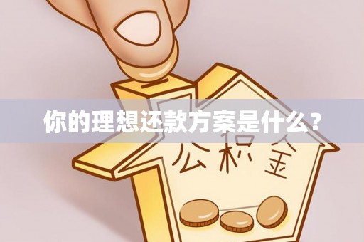 竹溪你的理想还款方案是什么？