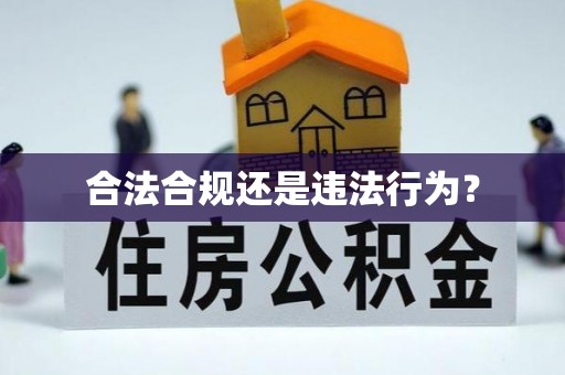 竹溪合法合规还是违法行为？