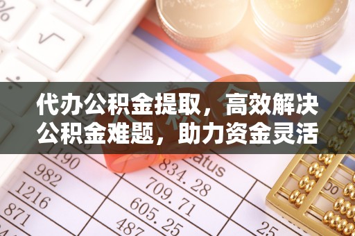 竹溪代办公积金提取，高效解决公积金难题，助力资金灵活使用