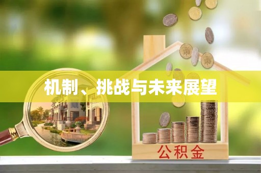 竹溪机制、挑战与未来展望
