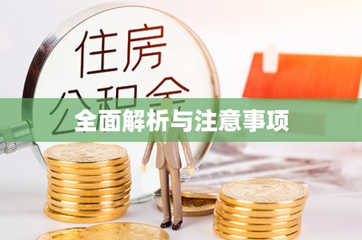 竹溪全面解析与注意事项