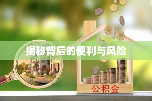 竹溪揭秘背后的便利与风险
